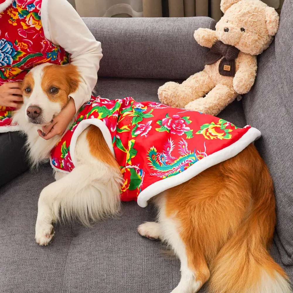 Winter Clothing Name - 2025 winter dog clothing dog face
