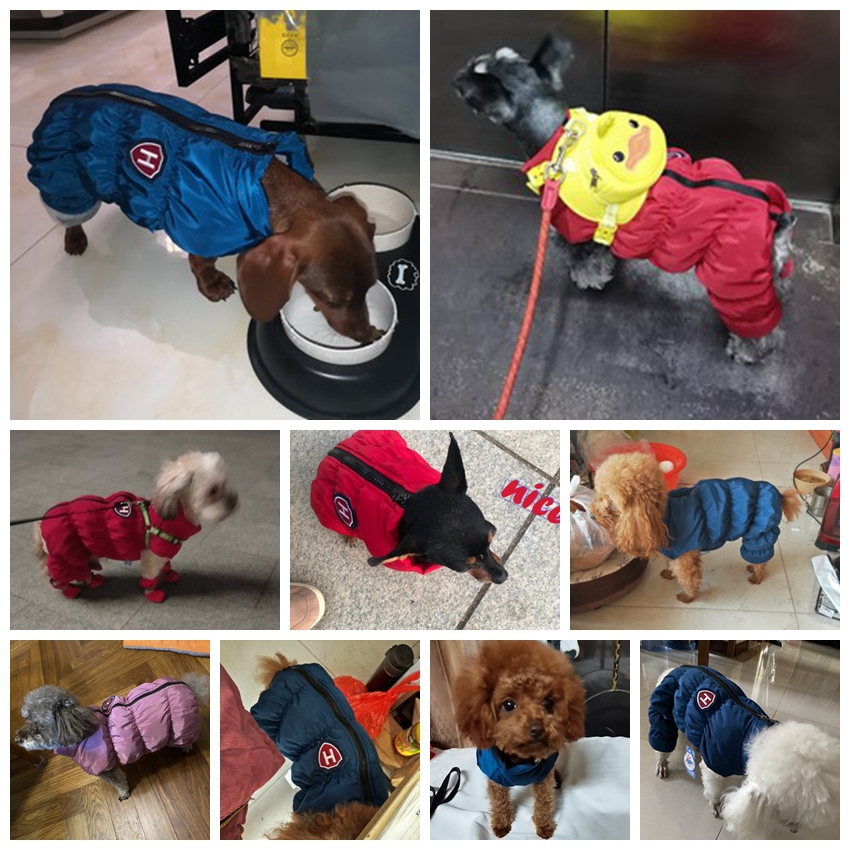 Dây Kéo Tuyết Unisex Chó Chống - đánh giá và giá Winter Clothing Baby