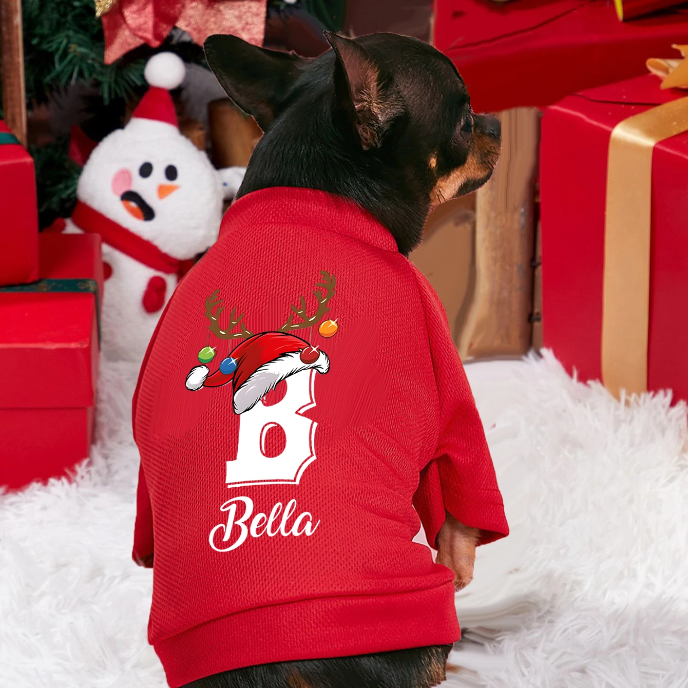 Personalised Christmas Pet Dog - đánh giá và giá Winter Clothing Name